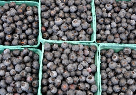 Jerseys blueberries from Whitehorse Meadows Farm. Photo copyright 2013 by Zachary D. Lyons.